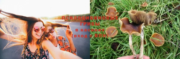 кокаин перу Богданович