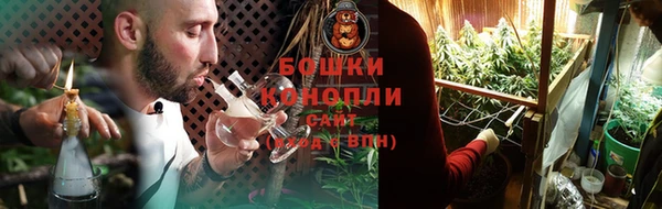 сатива Богородск