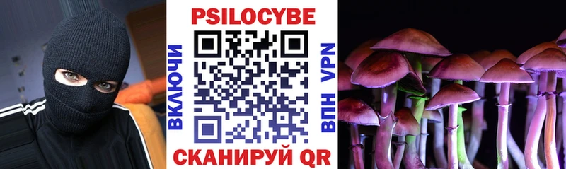 Купить где  Мещовск  Галлюциногенные грибы Psilocybine cubensis 